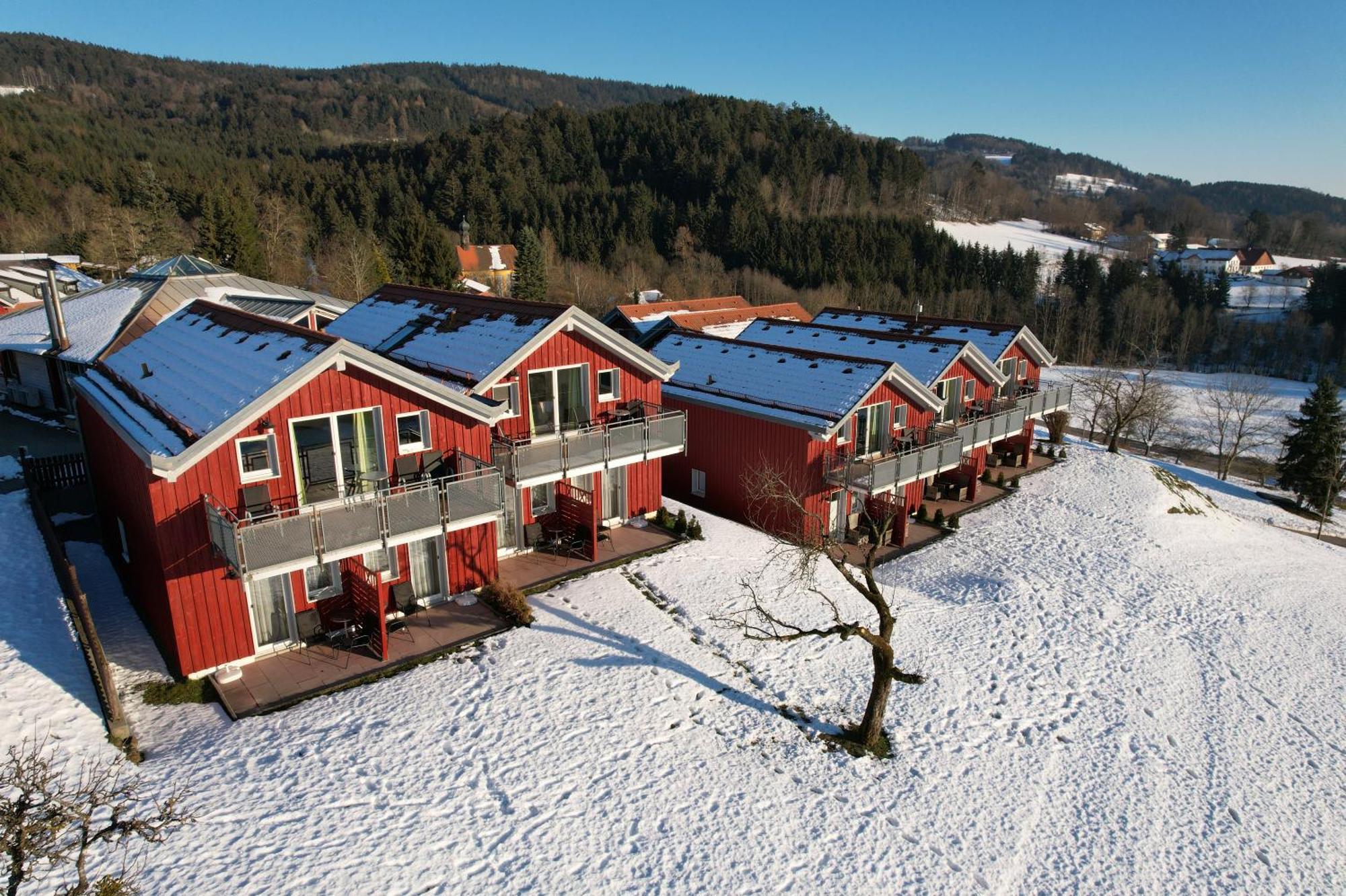 Village Hotel Bayerischer Wald Neukirchen  Ngoại thất bức ảnh