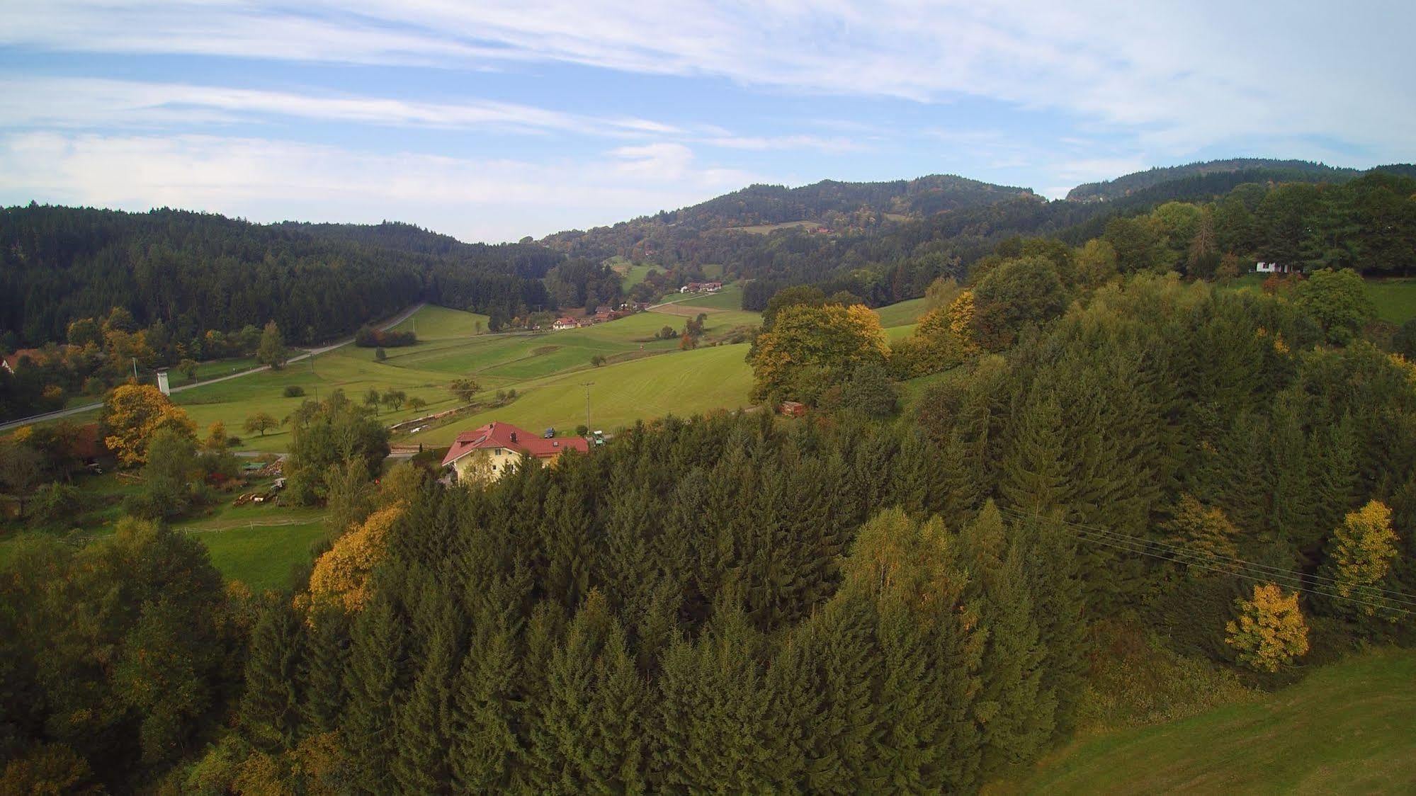 Village Hotel Bayerischer Wald Neukirchen  Ngoại thất bức ảnh