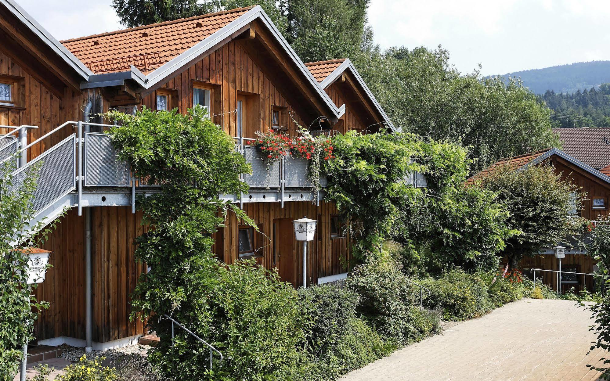 Village Hotel Bayerischer Wald Neukirchen  Ngoại thất bức ảnh