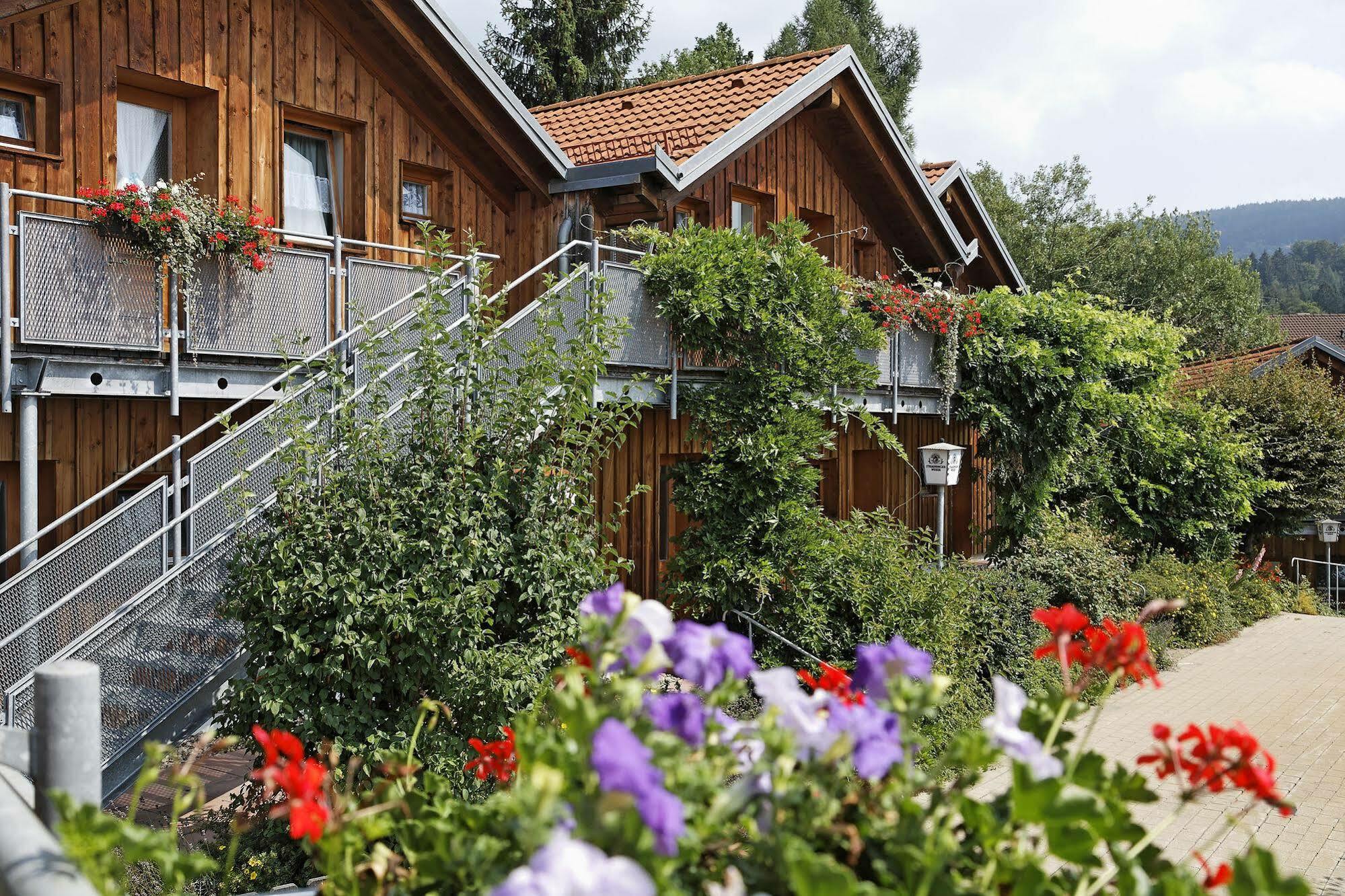 Village Hotel Bayerischer Wald Neukirchen  Ngoại thất bức ảnh